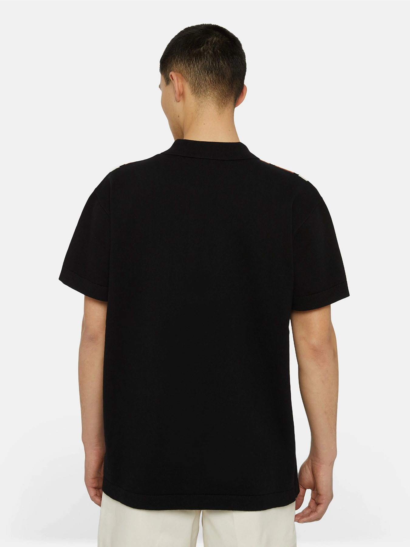 Футболки и поло Dickies Fieldale Polo модель DK0A4YSOBLK1 Футболки и поло Dickies Fieldale Polo модель DK0A4YSOBLK1 Фото
