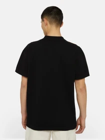 Футболки и поло Dickies Fieldale Polo модель DK0A4YSOBLK1 Фото