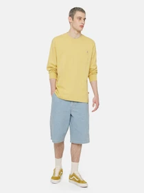 Шорти Dickies Madison Denim модель DK0A4YSYC151 Фото