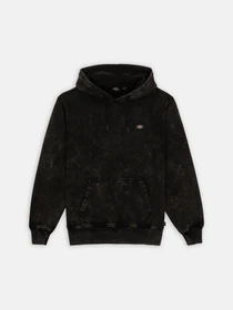 Худі та світшоти Dickies Neington модель DK0A4YYOH861 Фото