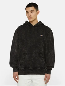 Худі та світшоти Dickies Neington модель DK0A4YYOH861 Фото