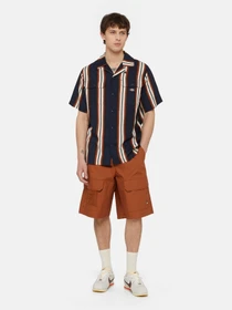 Рубашки Dickies Forest Ss модель DK0A4YYSDNX1 Фото