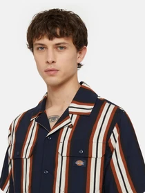Рубашки Dickies Forest Ss модель DK0A4YYSDNX1 Фото