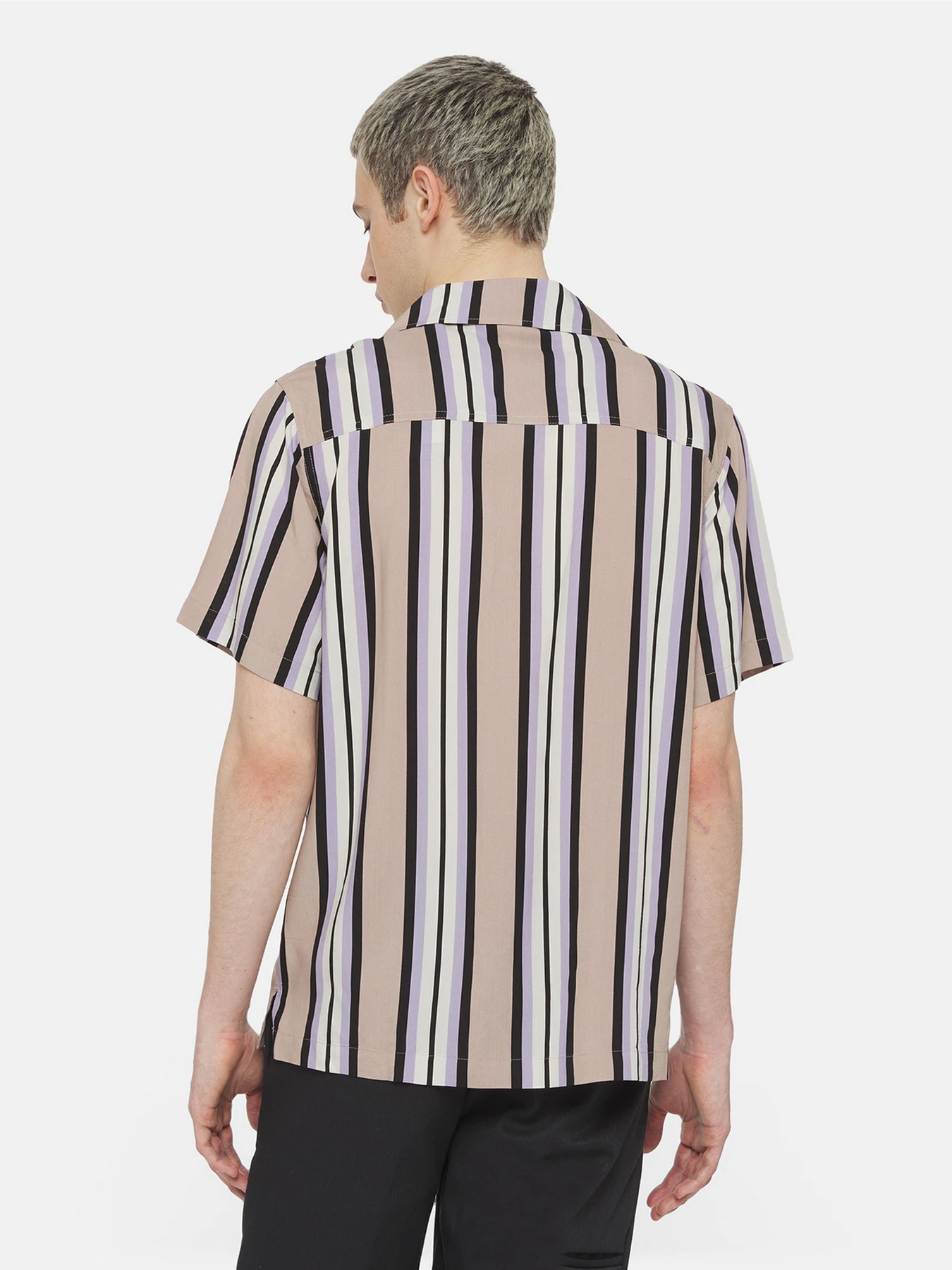 Рубашки Dickies Forest Ss модель DK0A4YYSSS01 Фото