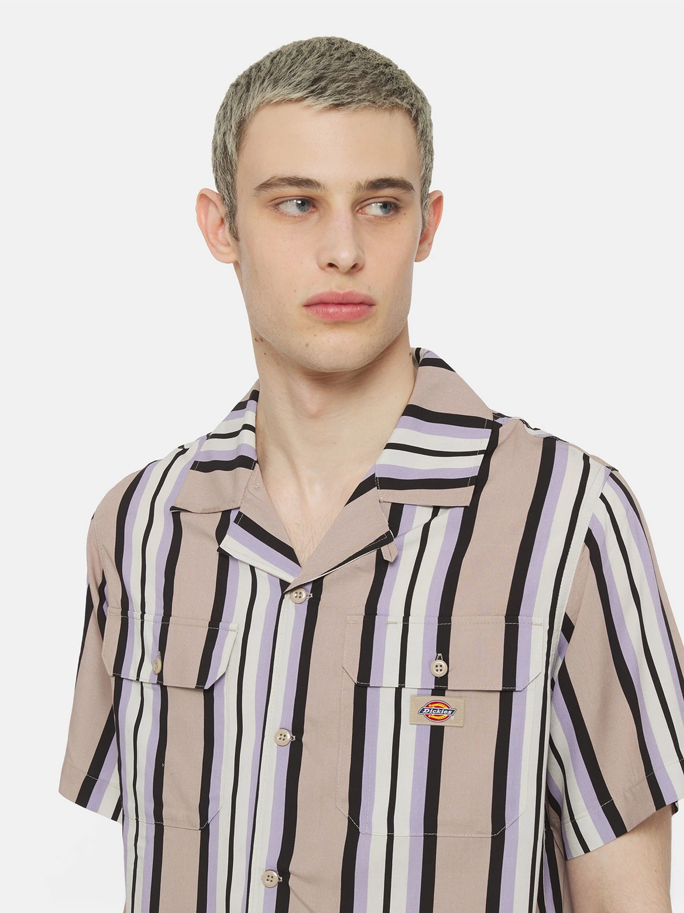 Рубашки Dickies Forest Ss модель DK0A4YYSSS01 Фото