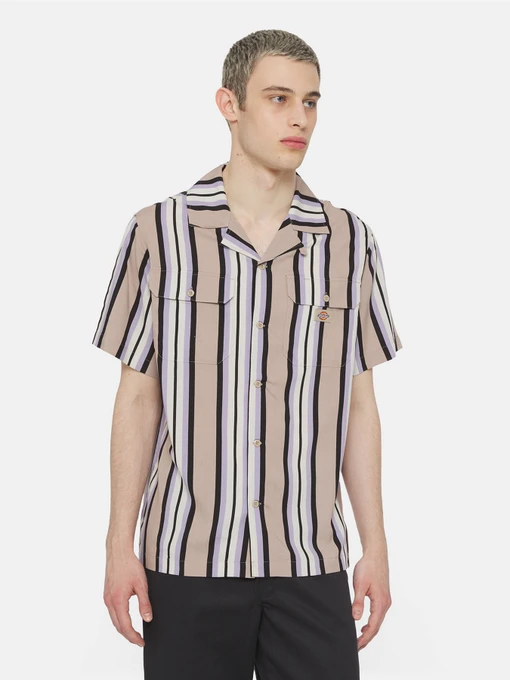 Сорочки Dickies Forest Ss модель DK0A4YYSSS01 Фото