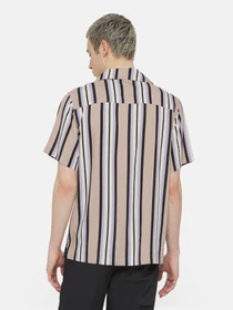 Рубашки Dickies Forest Ss модель DK0A4YYSSS01 Фото
