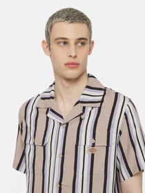 Рубашки Dickies Forest Ss модель DK0A4YYSSS01 Фото