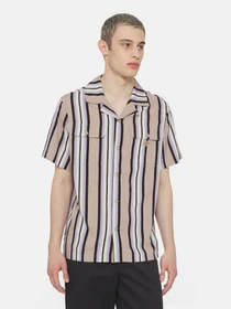 Рубашки Dickies Forest Ss модель DK0A4YYSSS01 Фото