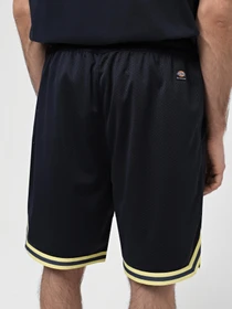 Шорти Dickies Guy Mariano Mesh модель DK0A4YZ2DNX1 Фото