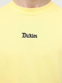 Футболки и поло Dickies Guy Mariano Ss модель DK0A4YZ3J501 Фото