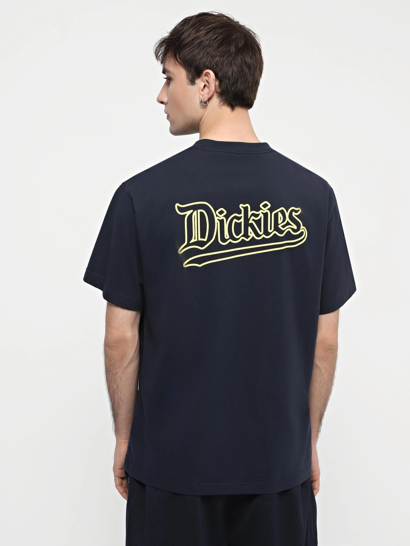Футболки и поло Dickies Guy Mariano Graphic Ss модель DK0A4YZ5DNX1 Фото