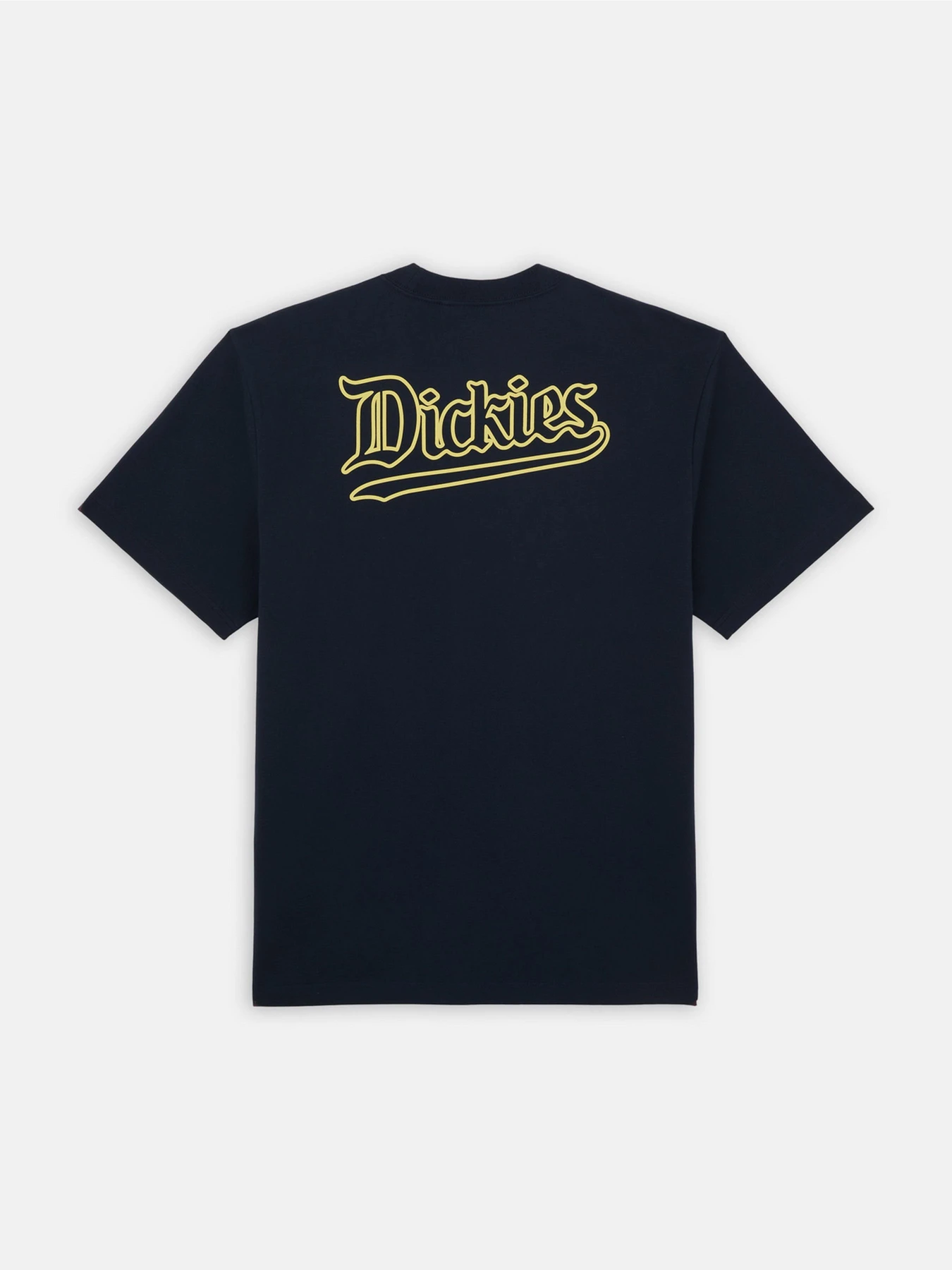 Футболки и поло Dickies Guy Mariano Graphic Ss модель DK0A4YZ5DNX1 Фото