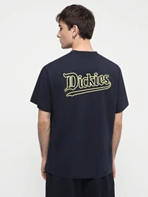Футболки и поло Dickies Guy Mariano Graphic Ss модель DK0A4YZ5DNX1 Фото