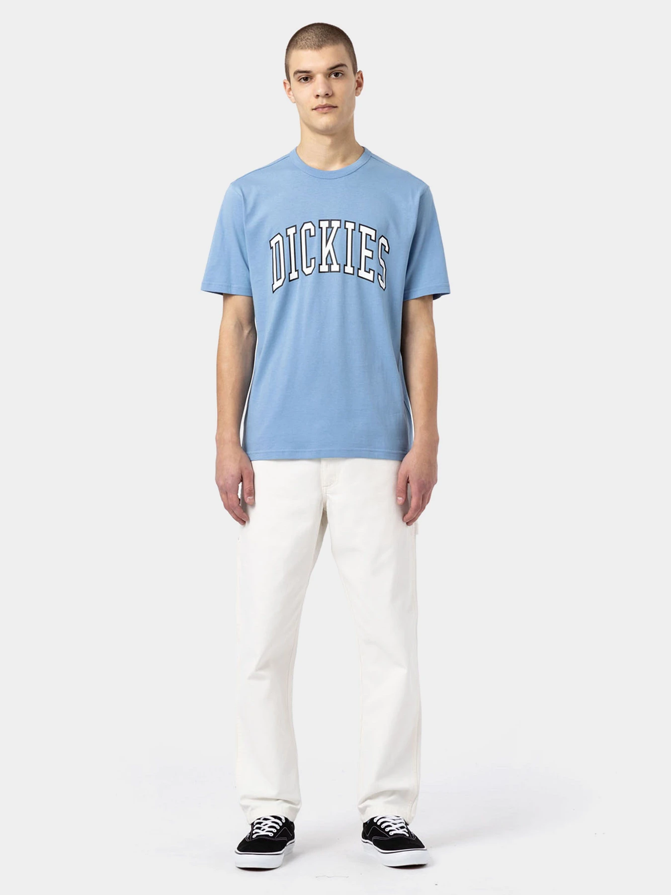 Штани Dickies Duck Canvas модель DK0A4XIFC431 Штани Dickies Duck Canvas модель DK0A4XIFC431 Фото