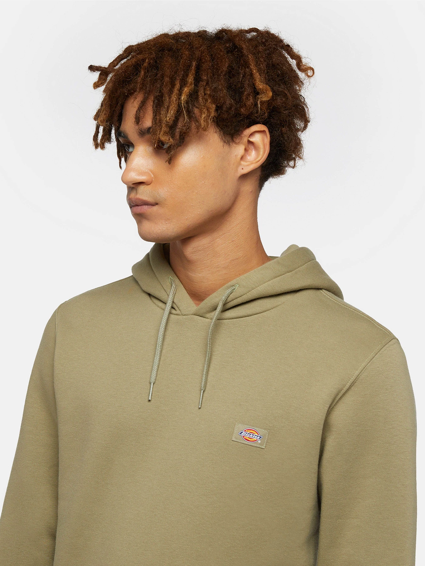Худі та світшоти Dickies Oakport модель DK0A4XCD0IP1 Фото