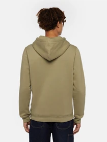 Худі та світшоти Dickies Oakport модель DK0A4XCD0IP1 Фото