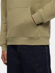Худі та світшоти Dickies Oakport модель DK0A4XCD0IP1 Фото