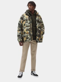 Худі та світшоти Dickies Oakport модель DK0A4XCDOGX1 Фото