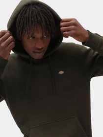 Худі та світшоти Dickies Oakport модель DK0A4XCDOGX1 Фото