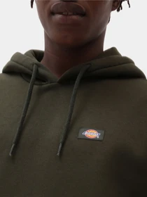 Худі та світшоти Dickies Oakport модель DK0A4XCDOGX1 Фото
