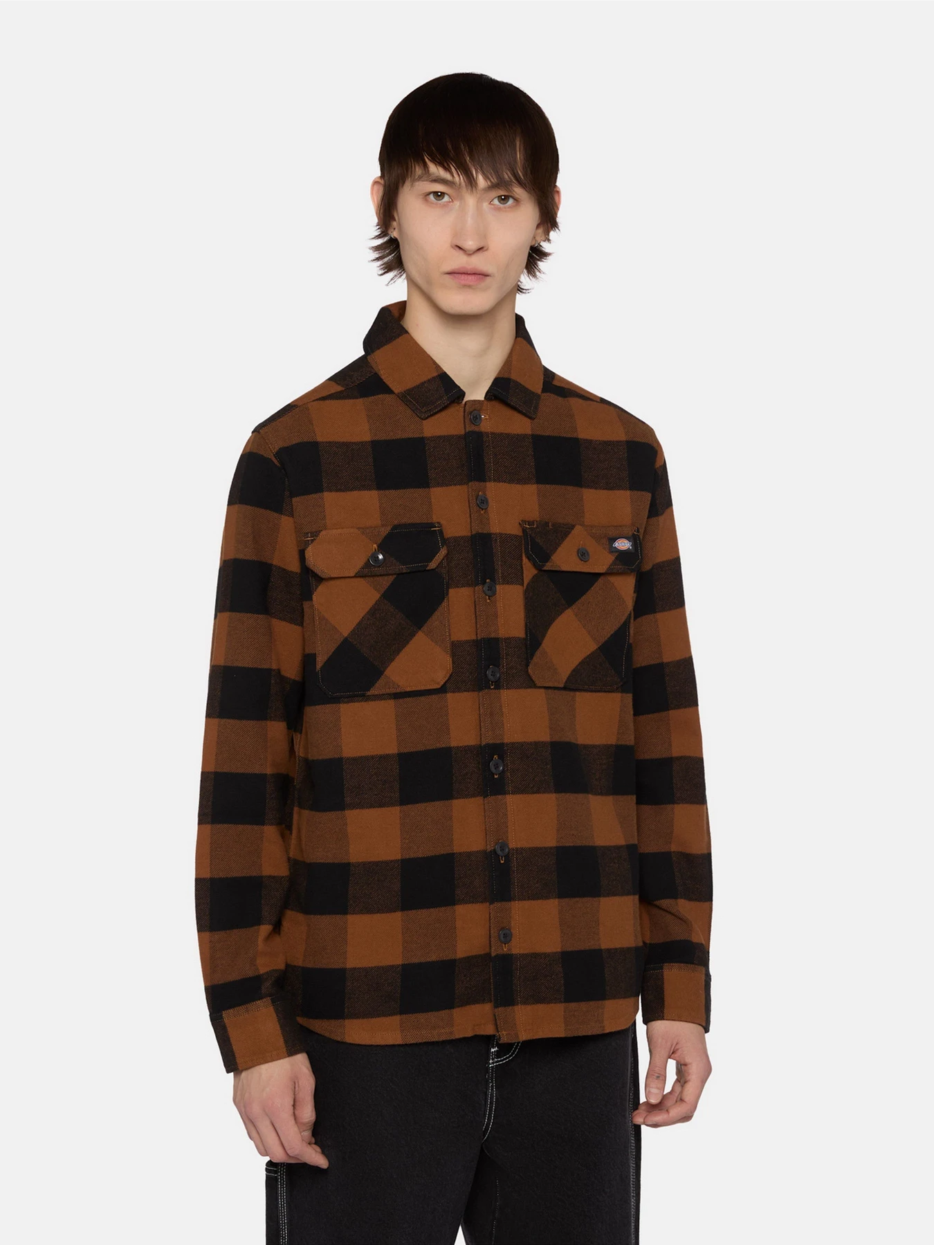 Рубашки Dickies Sacramento модель DK0A4XDZK181 Фото