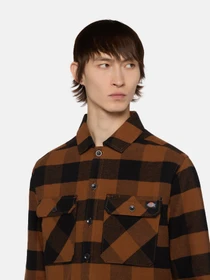 Рубашки Dickies Sacramento модель DK0A4XDZK181 Фото