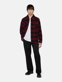 Сорочки Dickies Sacramento модель DK0A4XDZZIN1 Фото