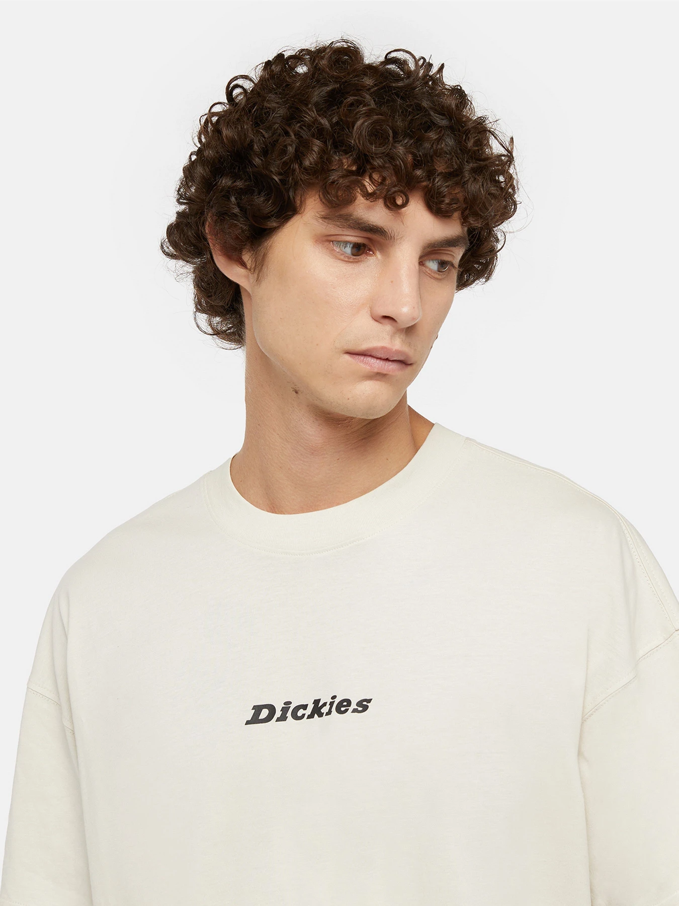 Футболки і поло Dickies Enterprise модель DK0A4YRNF901 Футболки і поло Dickies Enterprise модель DK0A4YRNF901 Фото