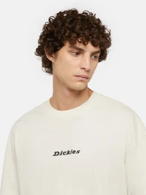 Футболки і поло Dickies Enterprise модель DK0A4YRNF901 Фото