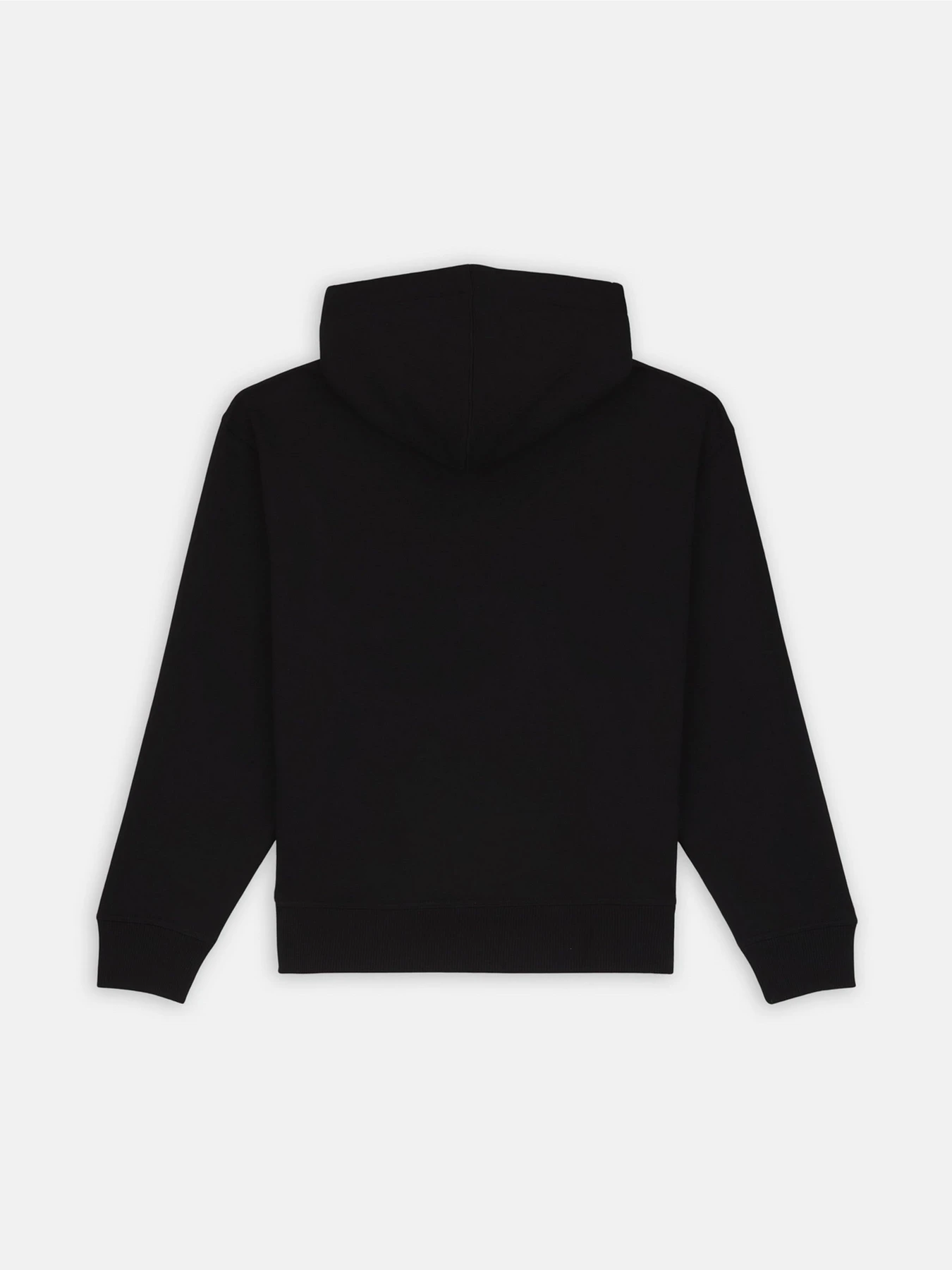 Худи и свитшоты Dickies Enterprise модель DK0A4Z2NBLK1 Худи и свитшоты Dickies Enterprise модель DK0A4Z2NBLK1 Фото