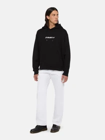 Худи и свитшоты Dickies Enterprise модель DK0A4Z2NBLK1 Фото