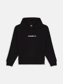 Худи и свитшоты Dickies Enterprise модель DK0A4Z2NBLK1 Фото