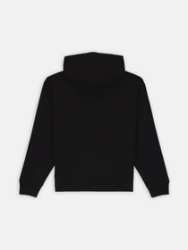 Худи и свитшоты Dickies Enterprise модель DK0A4Z2NBLK1 Фото