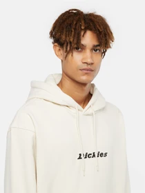 Худи и свитшоты Dickies Enterprise модель DK0A4Z2NF901 Фото