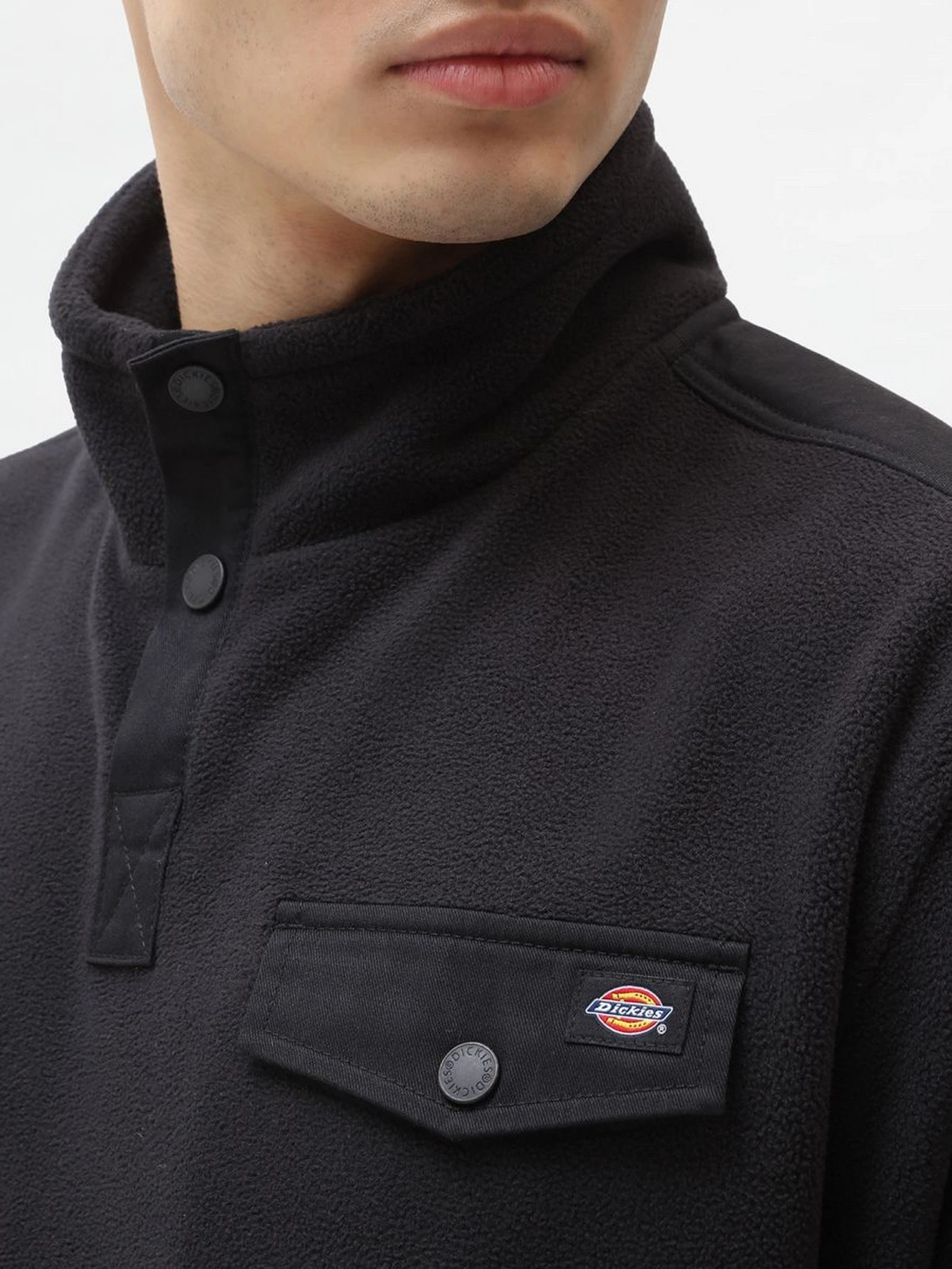 Худи и свитшоты Dickies Port Allen Fleece модель DK0A4XFSBLK1 Худи и свитшоты Dickies Port Allen Fleece модель DK0A4XFSBLK1 Фото