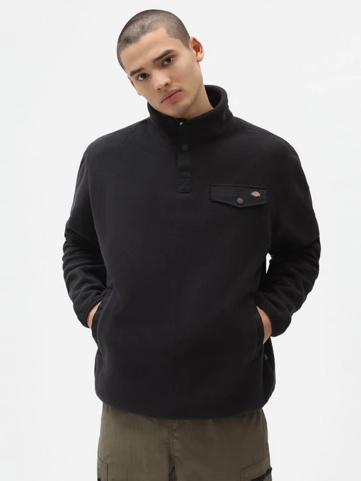 Худі та світшоти Dickies Port Allen Fleece модель DK0A4XFSBLK1 Фото