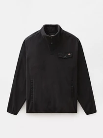 Худи и свитшоты Dickies Port Allen Fleece модель DK0A4XFSBLK1 Фото