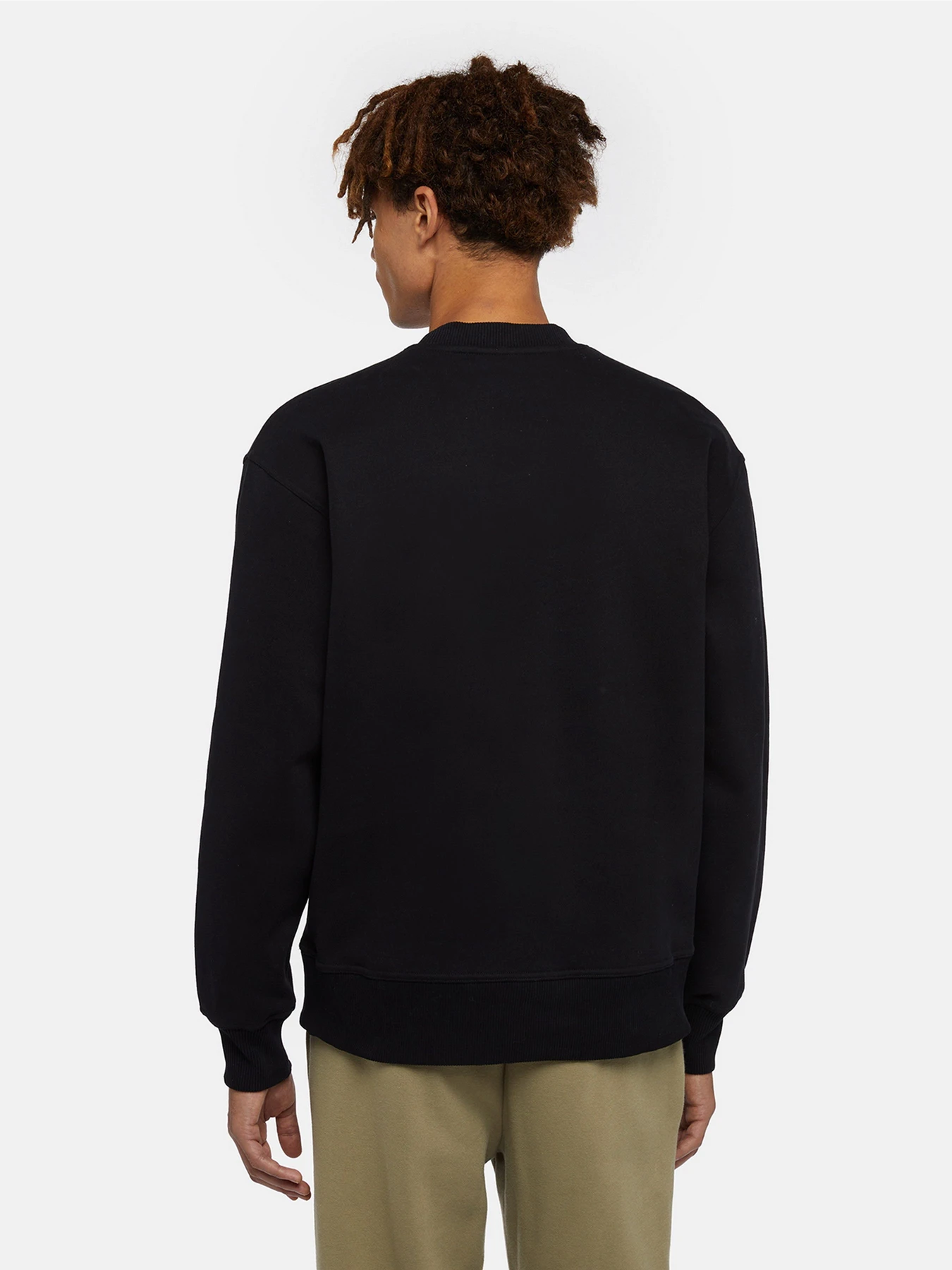 Худи и свитшоты Dickies Enterprise модель DK0A4Z4KBLK1 Фото