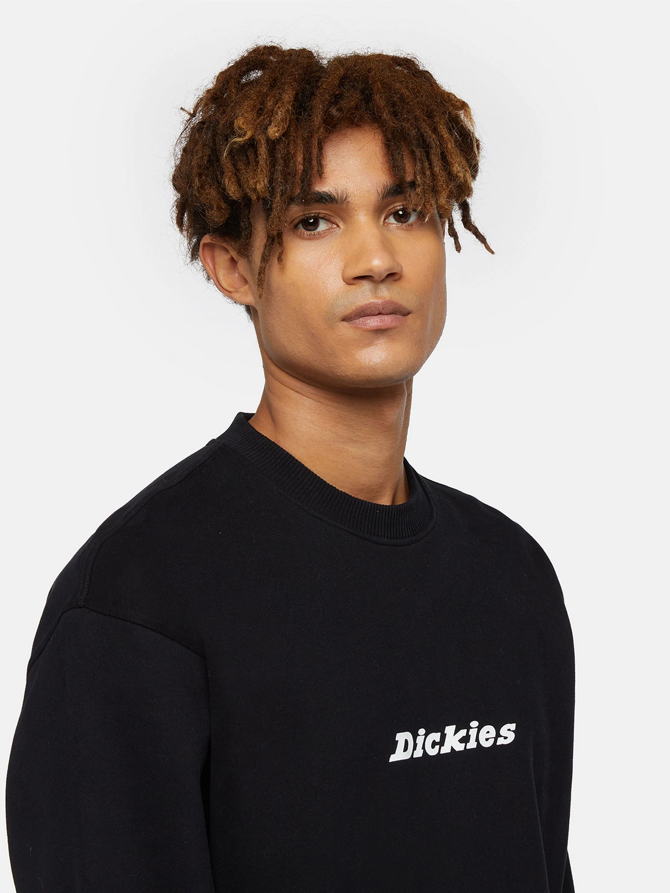 Худи и свитшоты Dickies Enterprise модель DK0A4Z4KBLK1 Фото
