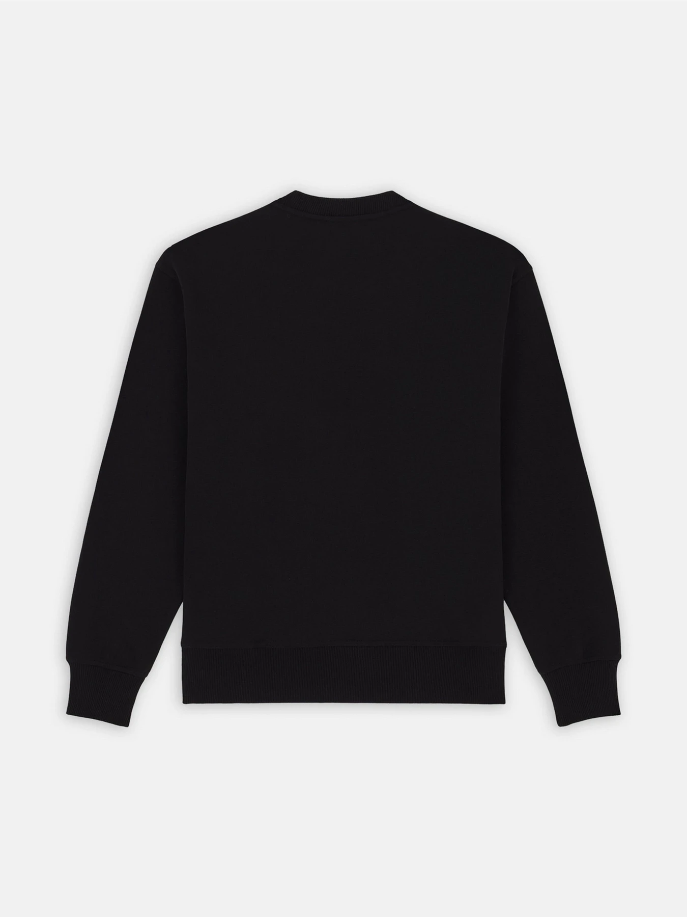 Худи и свитшоты Dickies Enterprise модель DK0A4Z4KBLK1 Фото