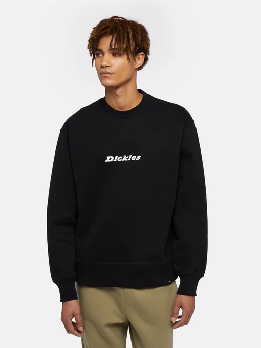 Худі та світшоти Dickies Enterprise модель DK0A4Z4KBLK1 Фото