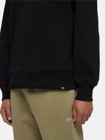Худи и свитшоты Dickies Enterprise модель DK0A4Z4KBLK1 Фото
