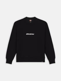 Худи и свитшоты Dickies Enterprise модель DK0A4Z4KBLK1 Фото