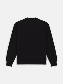 Худи и свитшоты Dickies Enterprise модель DK0A4Z4KBLK1 Фото
