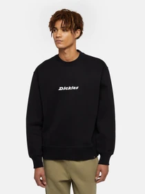 Худи и свитшоты Dickies Enterprise модель DK0A4Z4KBLK1 Фото