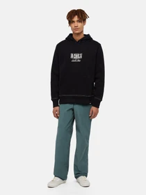 Худі та світшоти Dickies Philipsburg модель DK0A85SSBLK1 Фото