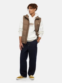 Худі та світшоти Dickies Philipsburg модель DK0A85SSC581 Фото