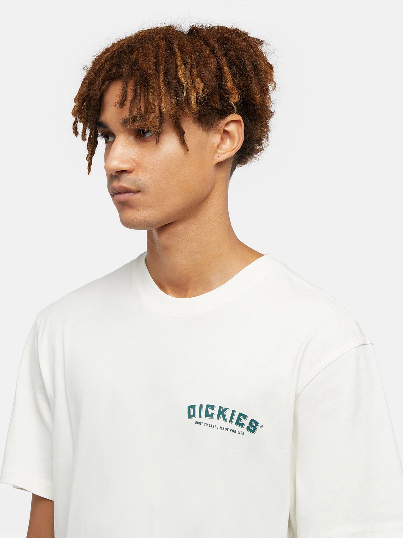Футболки і поло Dickies Dickies Builder модель DK0A85SYC581 Фото