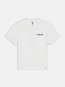 Футболки і поло Dickies Dickies Builder модель DK0A85SYC581 Фото